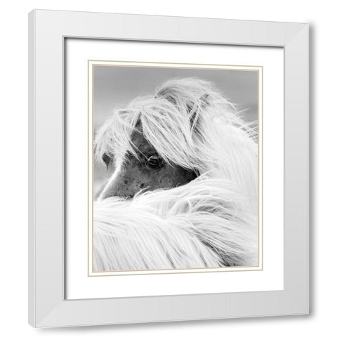 Island Pony II White Modern Wood Framed Art Print with Double Matting by Delimont, Danita