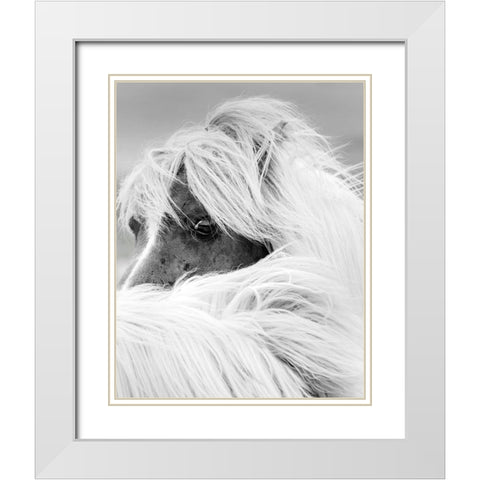 Island Pony II White Modern Wood Framed Art Print with Double Matting by Delimont, Danita