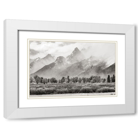 Teton Range White Modern Wood Framed Art Print with Double Matting by Delimont, Danita