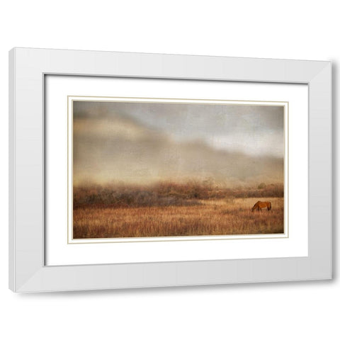 Grazing at Sunset White Modern Wood Framed Art Print with Double Matting by Delimont, Danita