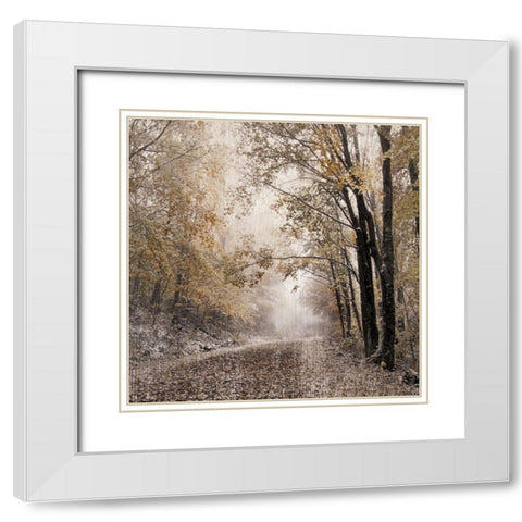 Burke Mountain White Modern Wood Framed Art Print with Double Matting by Delimont, Danita