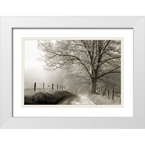 Soft Smokies White Modern Wood Framed Art Print with Double Matting by Delimont, Danita
