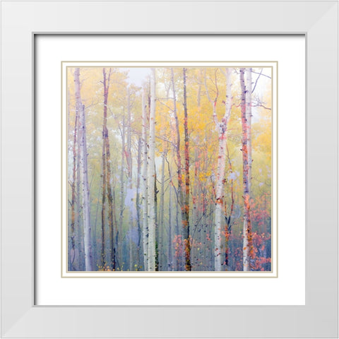 Foggy Aspen White Modern Wood Framed Art Print with Double Matting by Delimont, Danita