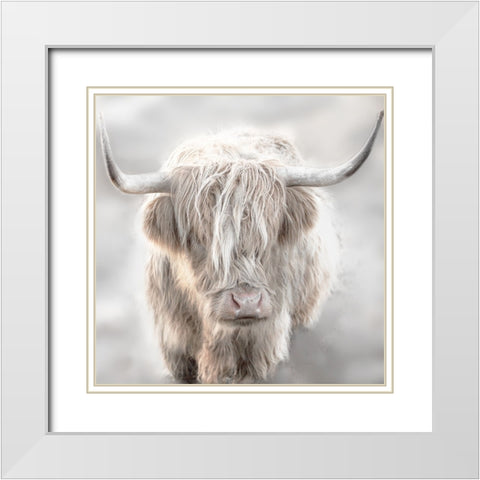 Soft Solo Highland White Modern Wood Framed Art Print with Double Matting by Delimont, Danita