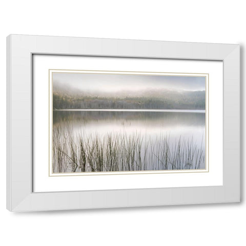 Lake Fog White Modern Wood Framed Art Print with Double Matting by Delimont, Danita
