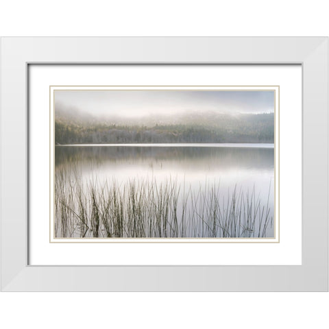 Lake Fog White Modern Wood Framed Art Print with Double Matting by Delimont, Danita