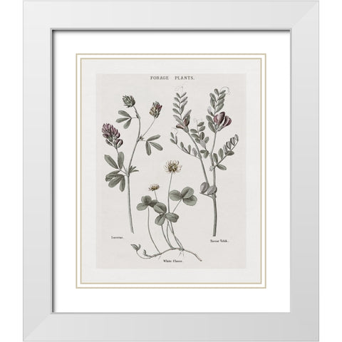 Multi Botanical I White Modern Wood Framed Art Print with Double Matting by Donovan, Kelly