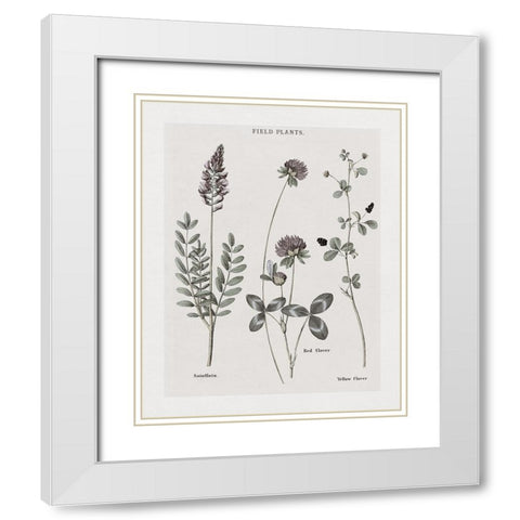Multi Botanical II White Modern Wood Framed Art Print with Double Matting by Donovan, Kelly