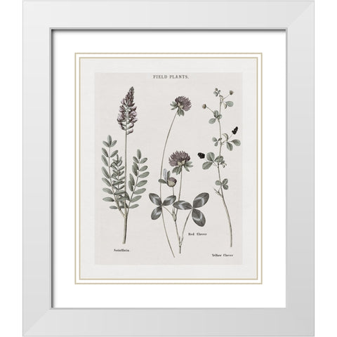 Multi Botanical II White Modern Wood Framed Art Print with Double Matting by Donovan, Kelly
