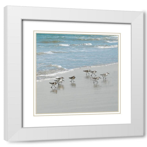 Sandpiper Shore I White Modern Wood Framed Art Print with Double Matting by Carpentieri, Natalie