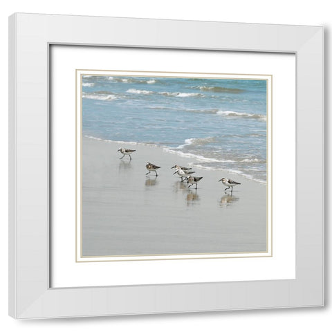 Sandpiper Shore II White Modern Wood Framed Art Print with Double Matting by Carpentieri, Natalie