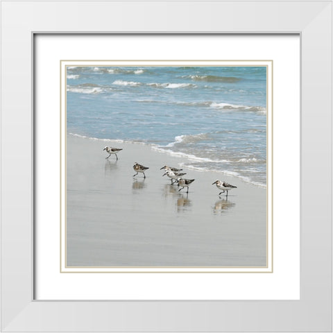 Sandpiper Shore II White Modern Wood Framed Art Print with Double Matting by Carpentieri, Natalie