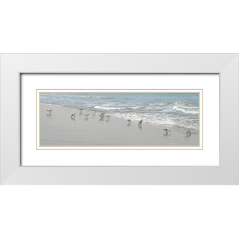 Shorebirds White Modern Wood Framed Art Print with Double Matting by Carpentieri, Natalie