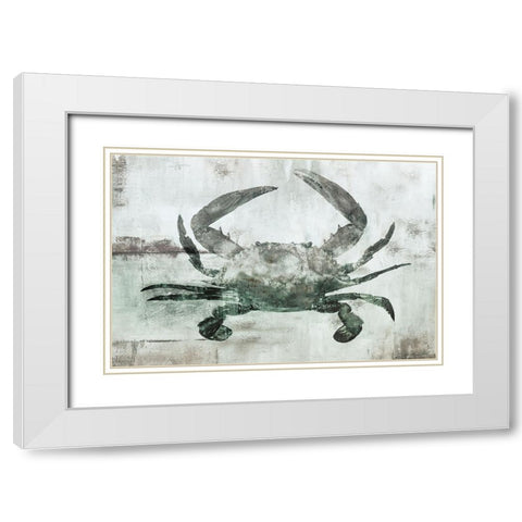 Neutral Crab I White Modern Wood Framed Art Print with Double Matting by Nan