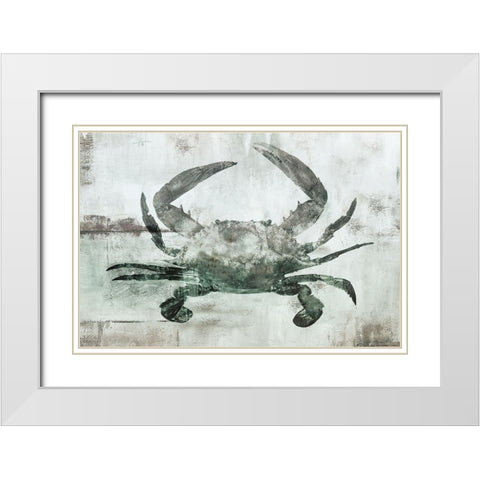 Neutral Crab I White Modern Wood Framed Art Print with Double Matting by Nan