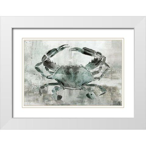 Neutral Crab II White Modern Wood Framed Art Print with Double Matting by Robinson, Carol