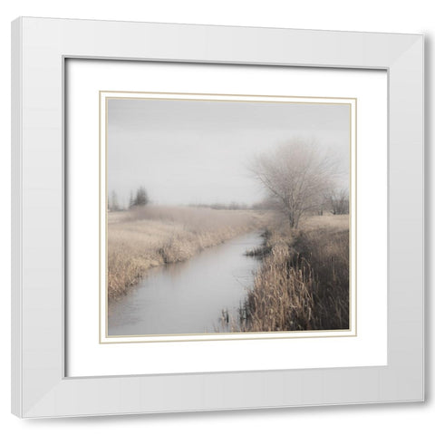 Misty Cattails White Modern Wood Framed Art Print with Double Matting by Robinson, Carol