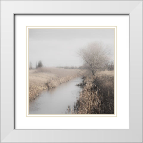 Misty Cattails White Modern Wood Framed Art Print with Double Matting by Robinson, Carol