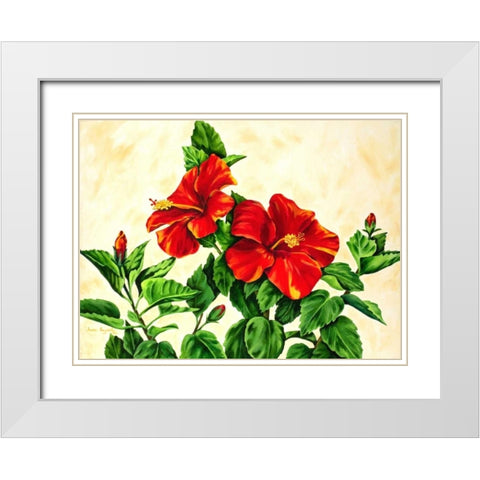 Red Hibiscus White Modern Wood Framed Art Print with Double Matting by Segrest, Jane