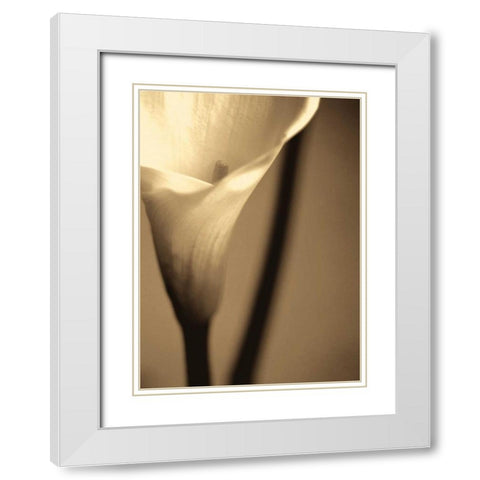 Divinity I White Modern Wood Framed Art Print with Double Matting by Ryan, Cinzia