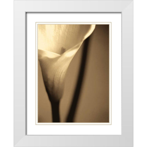 Divinity I White Modern Wood Framed Art Print with Double Matting by Ryan, Cinzia
