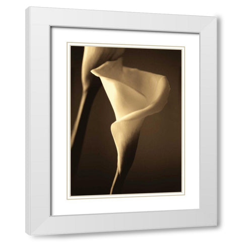 Divinity II White Modern Wood Framed Art Print with Double Matting by Ryan, Cinzia