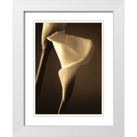 Divinity II White Modern Wood Framed Art Print with Double Matting by Ryan, Cinzia