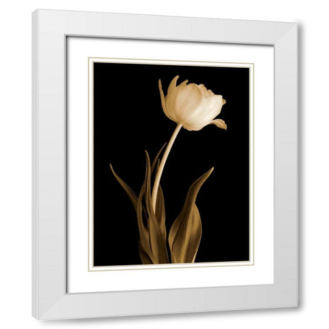 Classic Beauty White Modern Wood Framed Art Print with Double Matting by Britt, Charles