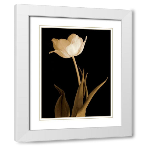 Splendid Beauty White Modern Wood Framed Art Print with Double Matting by Britt, Charles