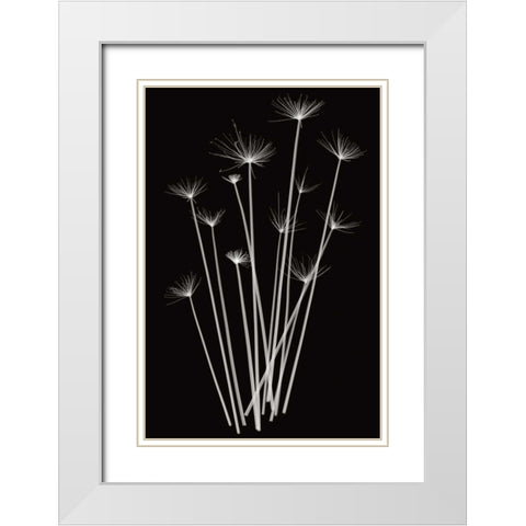 Three Rushes White Modern Wood Framed Art Print with Double Matting by Wehtje, Jim