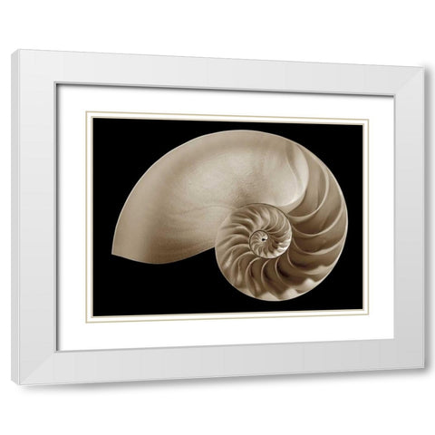 Ocean Keepsake II White Modern Wood Framed Art Print with Double Matting by Britt, Charles