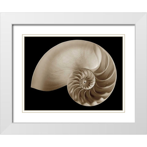 Ocean Keepsake II White Modern Wood Framed Art Print with Double Matting by Britt, Charles