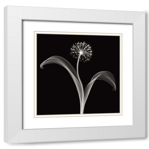 Into the Night I White Modern Wood Framed Art Print with Double Matting by Wehtje, Jim