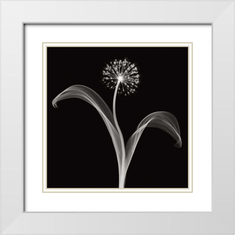 Into the Night I White Modern Wood Framed Art Print with Double Matting by Wehtje, Jim