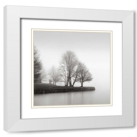 Fog and Trees at Dusk White Modern Wood Framed Art Print with Double Matting by LSH
