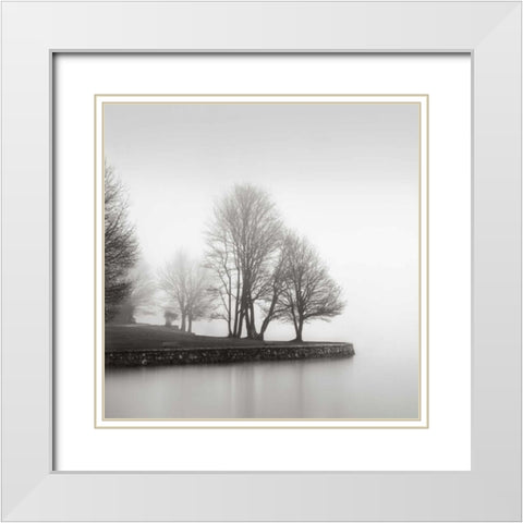 Fog and Trees at Dusk White Modern Wood Framed Art Print with Double Matting by LSH
