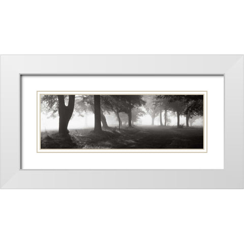 Translucence White Modern Wood Framed Art Print with Double Matting by Sleeper, Mike