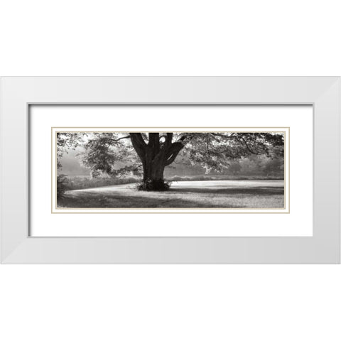 Ascendancy) White Modern Wood Framed Art Print with Double Matting by Sleeper, Mike