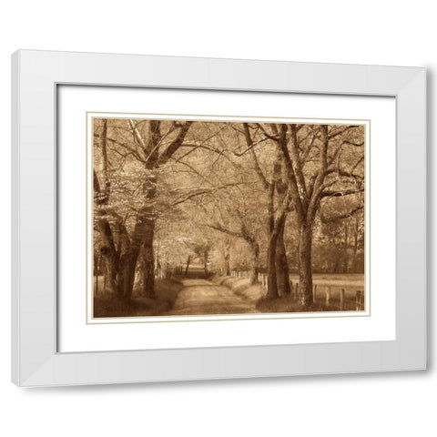 Smokies Road White Modern Wood Framed Art Print with Double Matting by Caro, Wendy