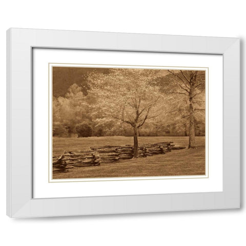 Smokies Fence White Modern Wood Framed Art Print with Double Matting by Caro, Wendy