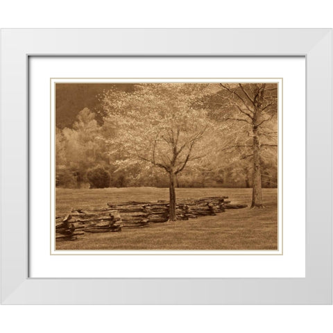Smokies Fence White Modern Wood Framed Art Print with Double Matting by Caro, Wendy