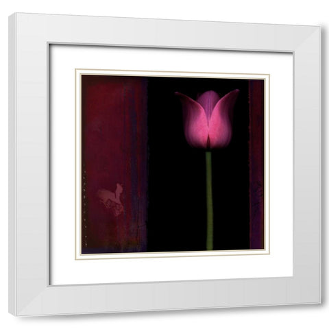 Red Tulip I White Modern Wood Framed Art Print with Double Matting by Filler, Rick