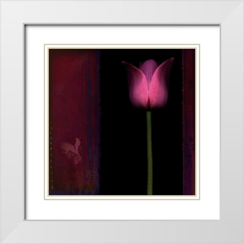 Red Tulip I White Modern Wood Framed Art Print with Double Matting by Filler, Rick
