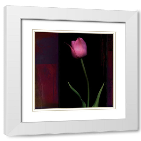 Red Tulip II White Modern Wood Framed Art Print with Double Matting by Filler, Rick