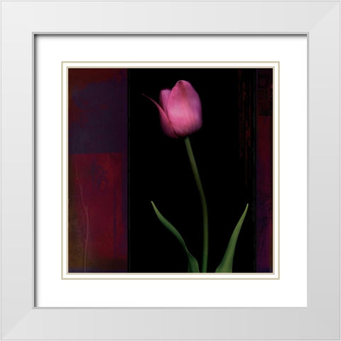 Red Tulip II White Modern Wood Framed Art Print with Double Matting by Filler, Rick