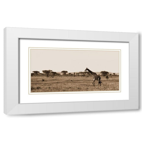 Serengeti Horizons II White Modern Wood Framed Art Print with Double Matting by Maihara/Watt, Jeff/Boyce