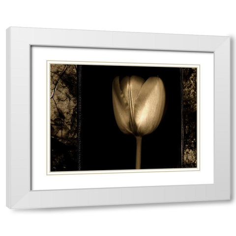 White Tulipa II White Modern Wood Framed Art Print with Double Matting by Filler, Rick