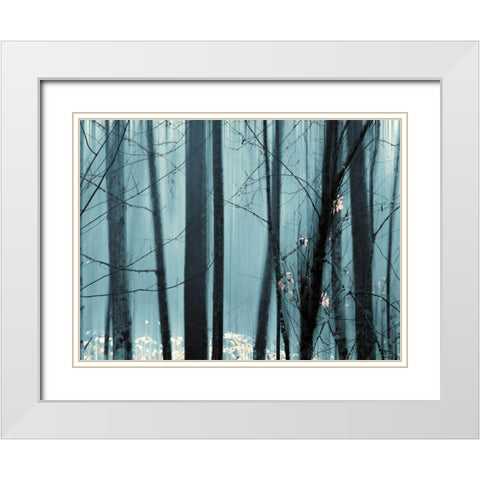 Spring Mist II White Modern Wood Framed Art Print with Double Matting by Pelkey, Marvin
