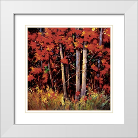 Reds White Modern Wood Framed Art Print with Double Matting by OToole, Nancy