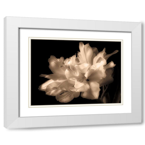 Double Dappled I White Modern Wood Framed Art Print with Double Matting by Britt, Charles